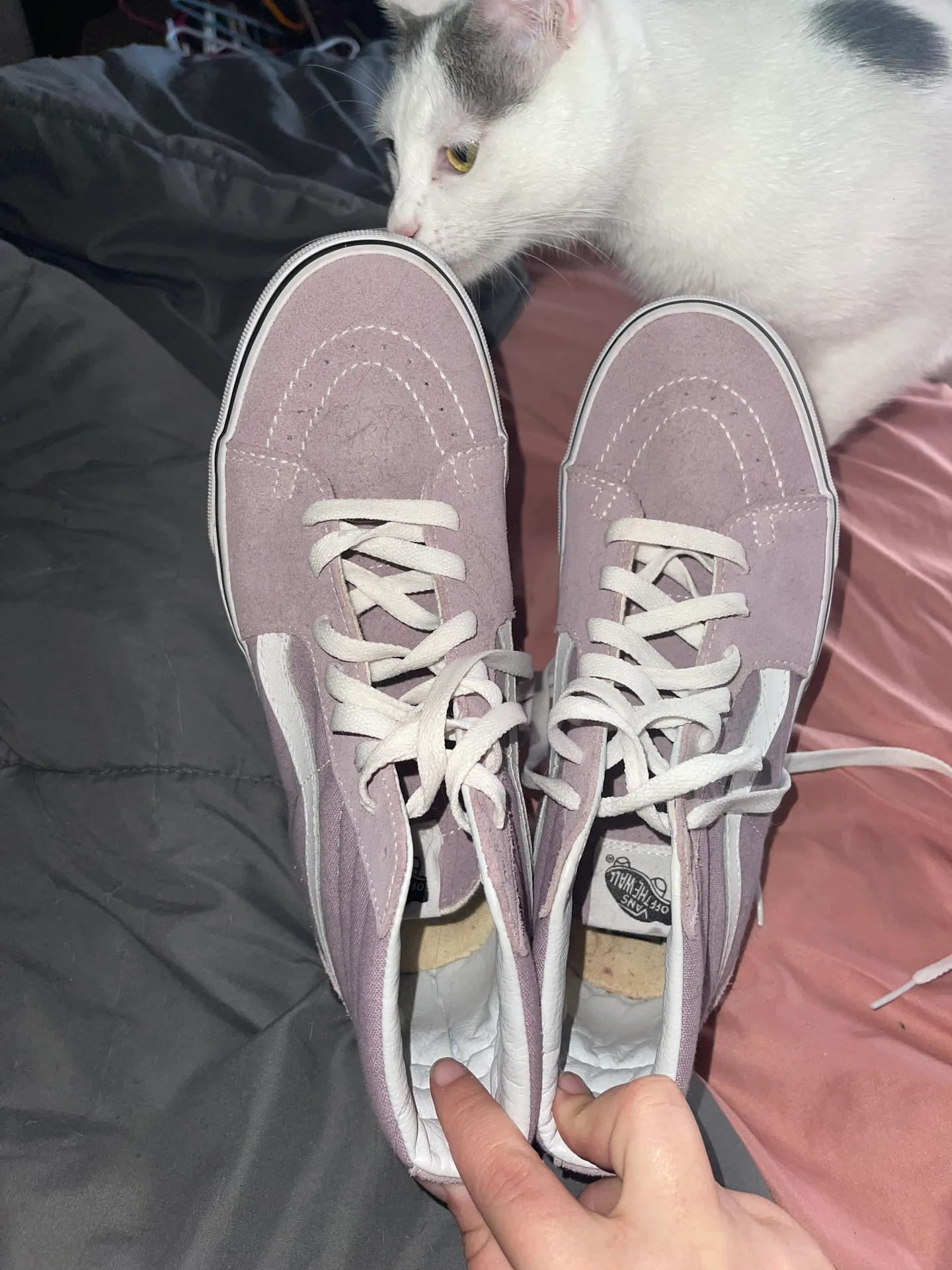 Vans Sk8-Hi - Image 4