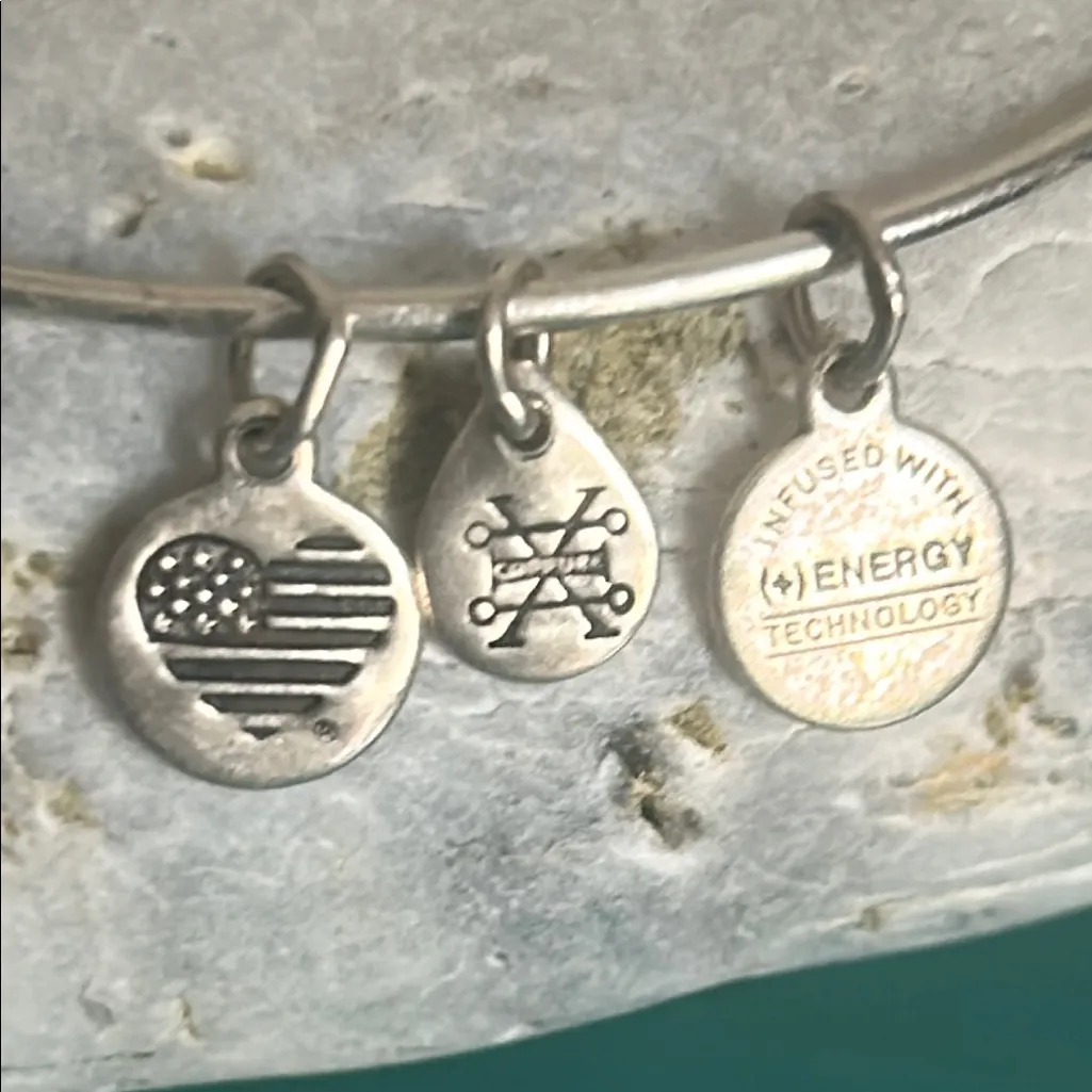 Alex and Ani Silver Tone “Happily Ever After” Bride Bangle Charm Bracelet - Image 4