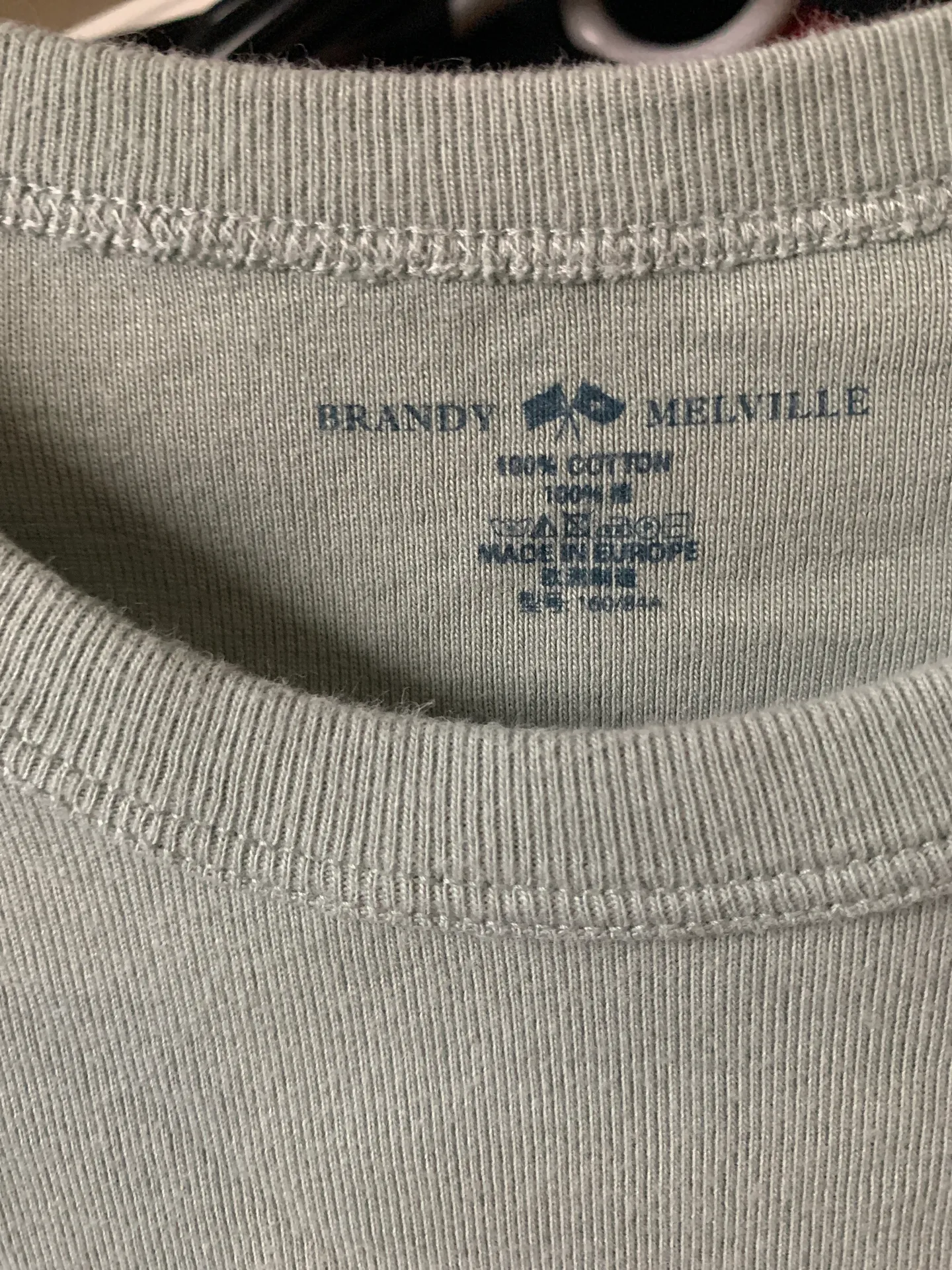 Brandy Melville Sage Green Crop Top - Image 2