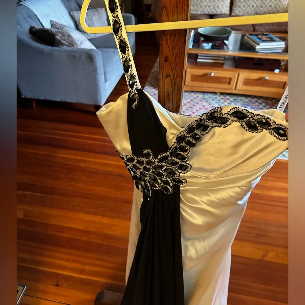 Terani Grecian Prom Gown sz 2 - Image 4