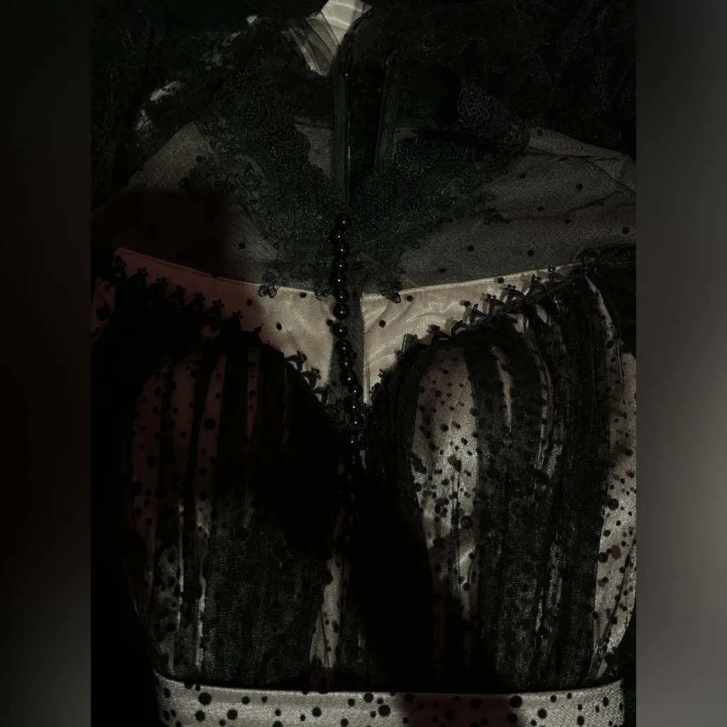 Elegant Black Sheer Polka Dot Dress Size 2 - Image 3