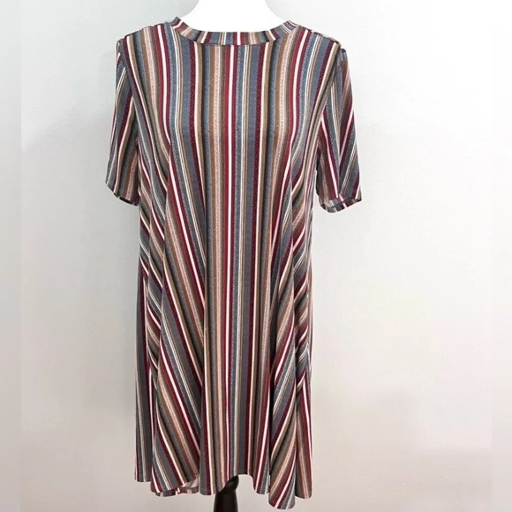 eclectic earth toned striped shift dress size large - Image 3