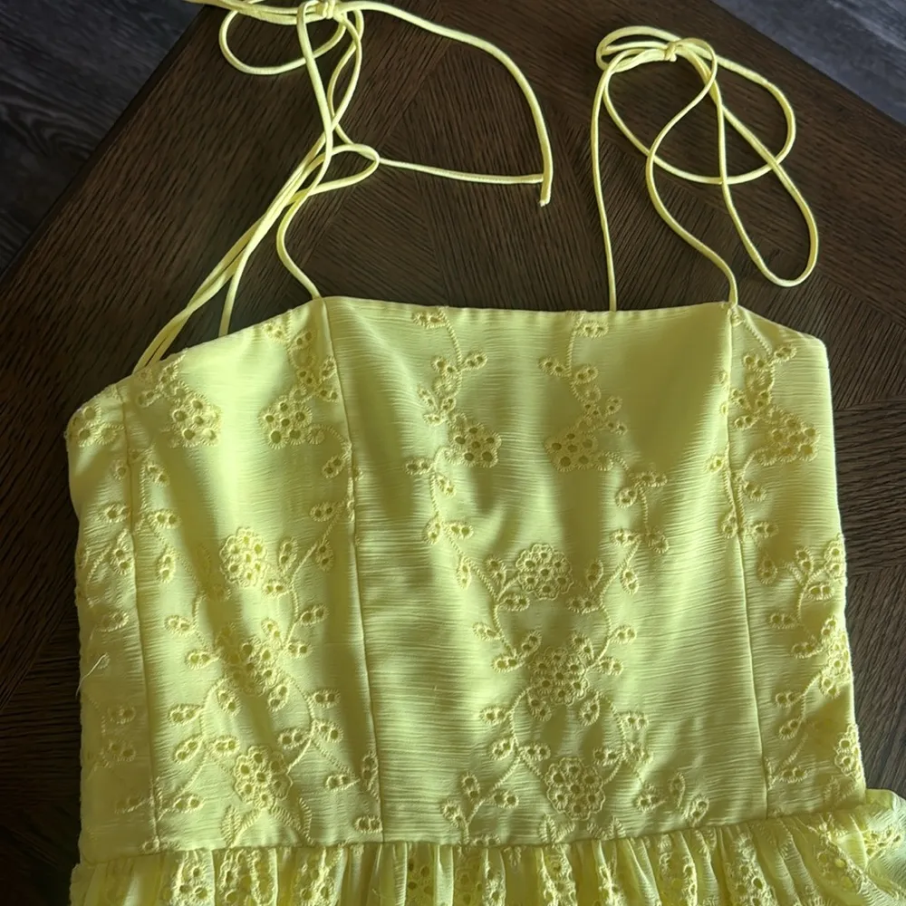 ALICE + OLIVIA Juniper broderie anglaise georgette maxi dress, Size 4, $695 - Image 8