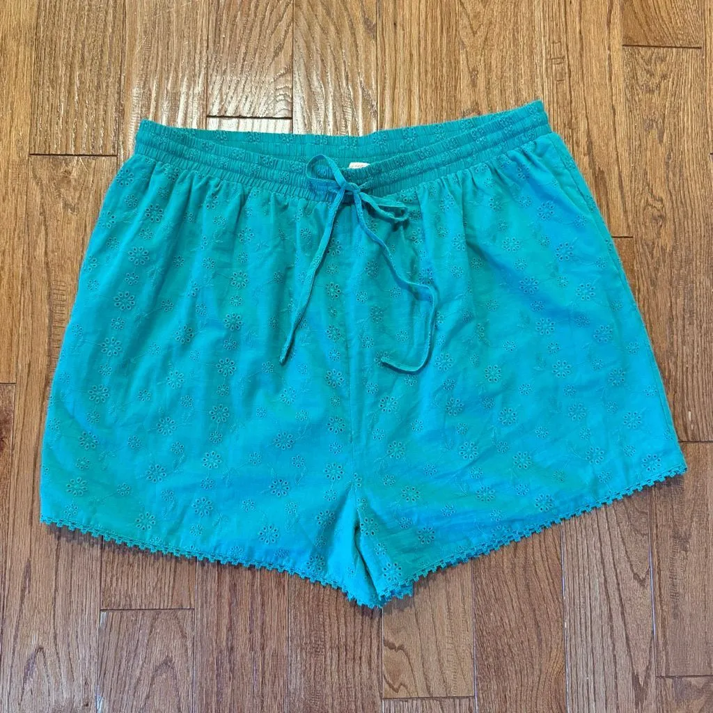 Ivy City Co. NWT Betty green eyelet short size XXL - Image 2