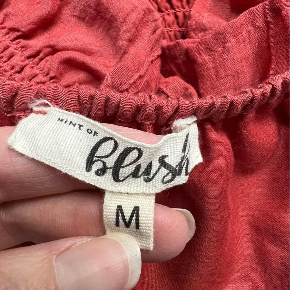 Hint of Blush Crop Peasant Flare Ruffle‎ Sleeve Boho Top - Image 7