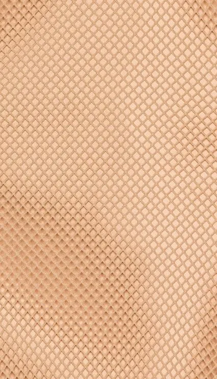 Mesh Bodycon From Revolve - Image 5