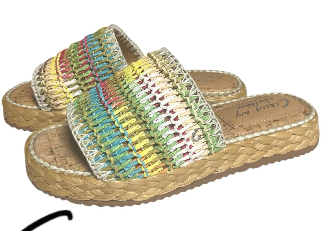 Circus NY By Sam Edelman Wallis Raffia Rainbow Slide Sandals Women’s 8.5 - Image 1