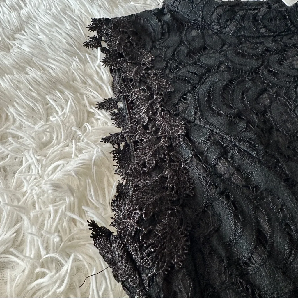 Francesca’s Black Lace Sleeveless Fit & Flare Dress Mini Dress Size Large - Image 11