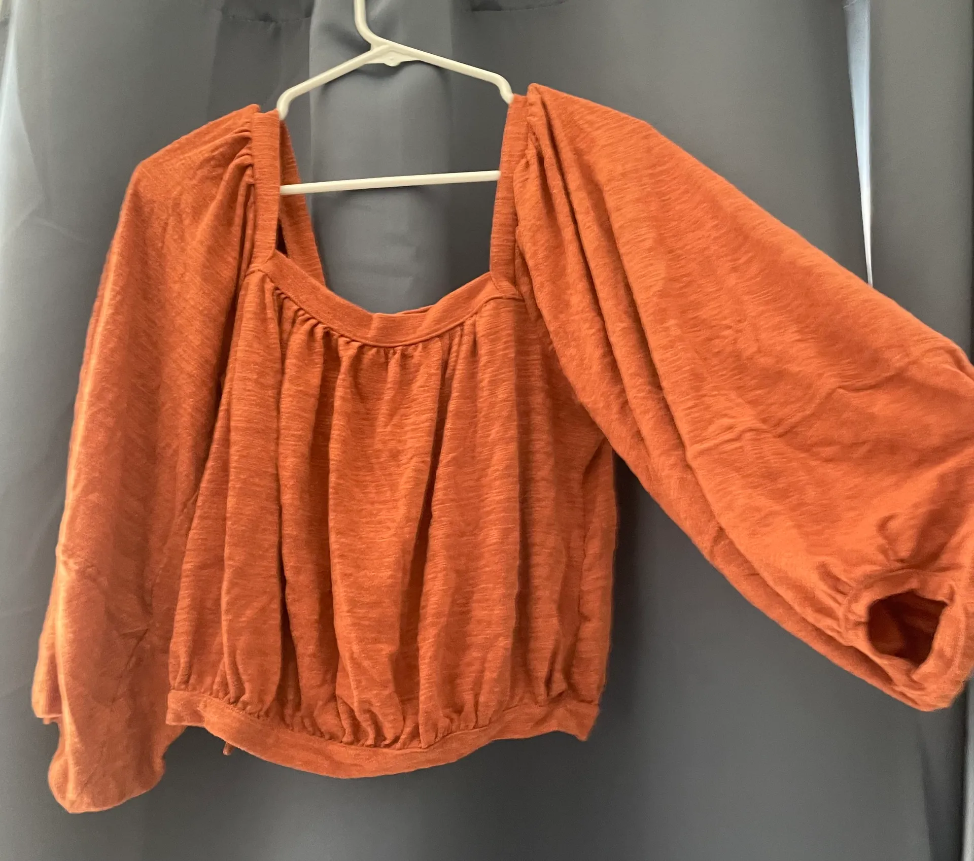 Free People Rust Colored Top - Image 3