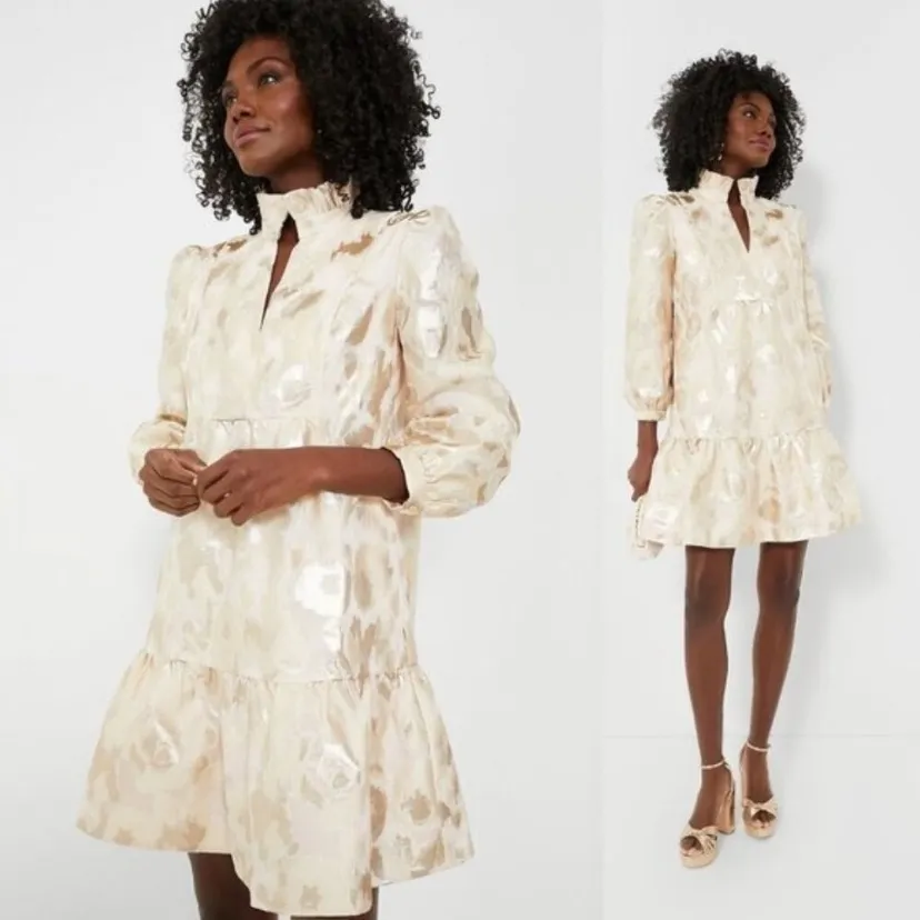 Tuckernuck Champagne Fil Coupe Palmerston Formal Mini Dress Size Medium NWT prep - Image 9