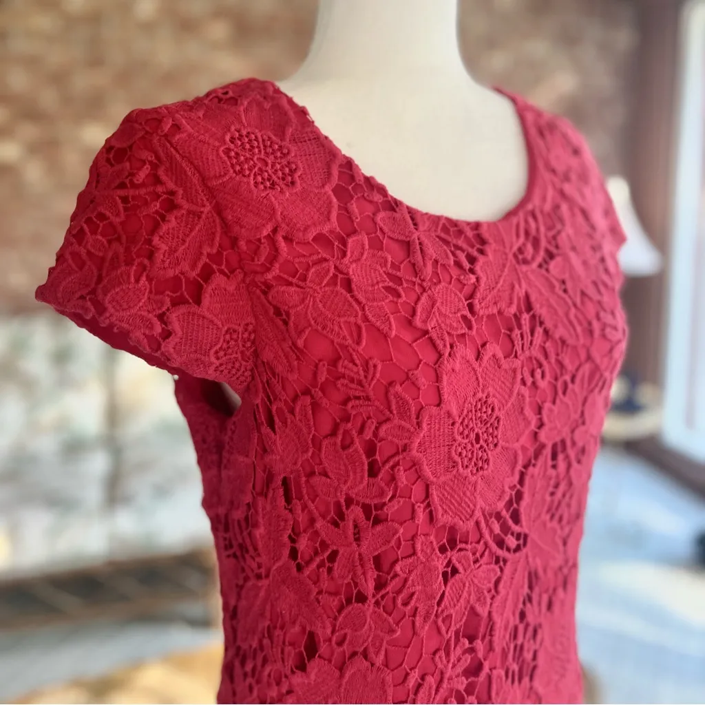Luxology Dress Lace Crochet Cap Sleeve Sheath 10 Garden Brunch Party Bright - Image 10