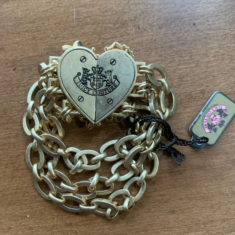 Juicy Couture Pam & Gela Floral Statement Chain Link Bracelet Magnetic Closure - Image 3