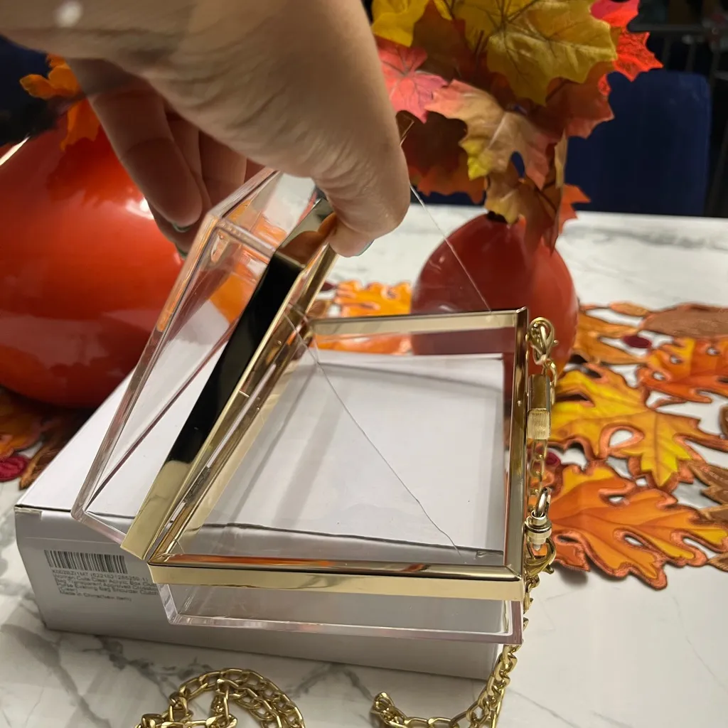 Elegant Transparent Box Clutch with Gold Chain - Image 6