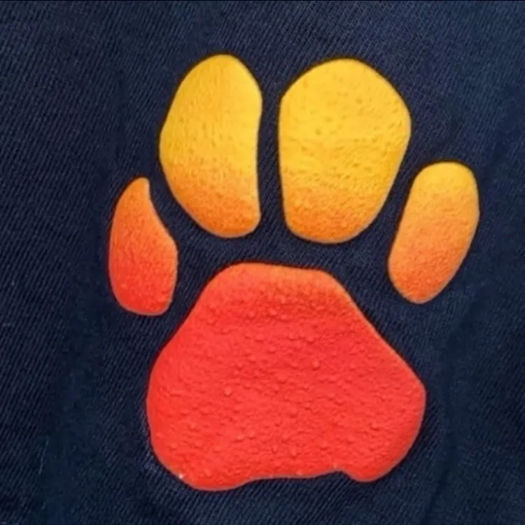 Disney parks Paris Le roi lion (lion king) sunset ombre spirit jersey Xs - Image 3
