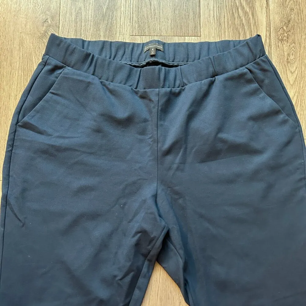 Universal Standard Moro Pocket Signature Ponte Pants in Navy Blue Size M (18-20) - Image 6