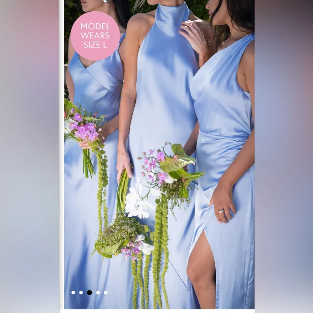 NWT SHOW ME YOUR MUMU - Jodie Dress color: Borrowed Blue  size large - Image 3