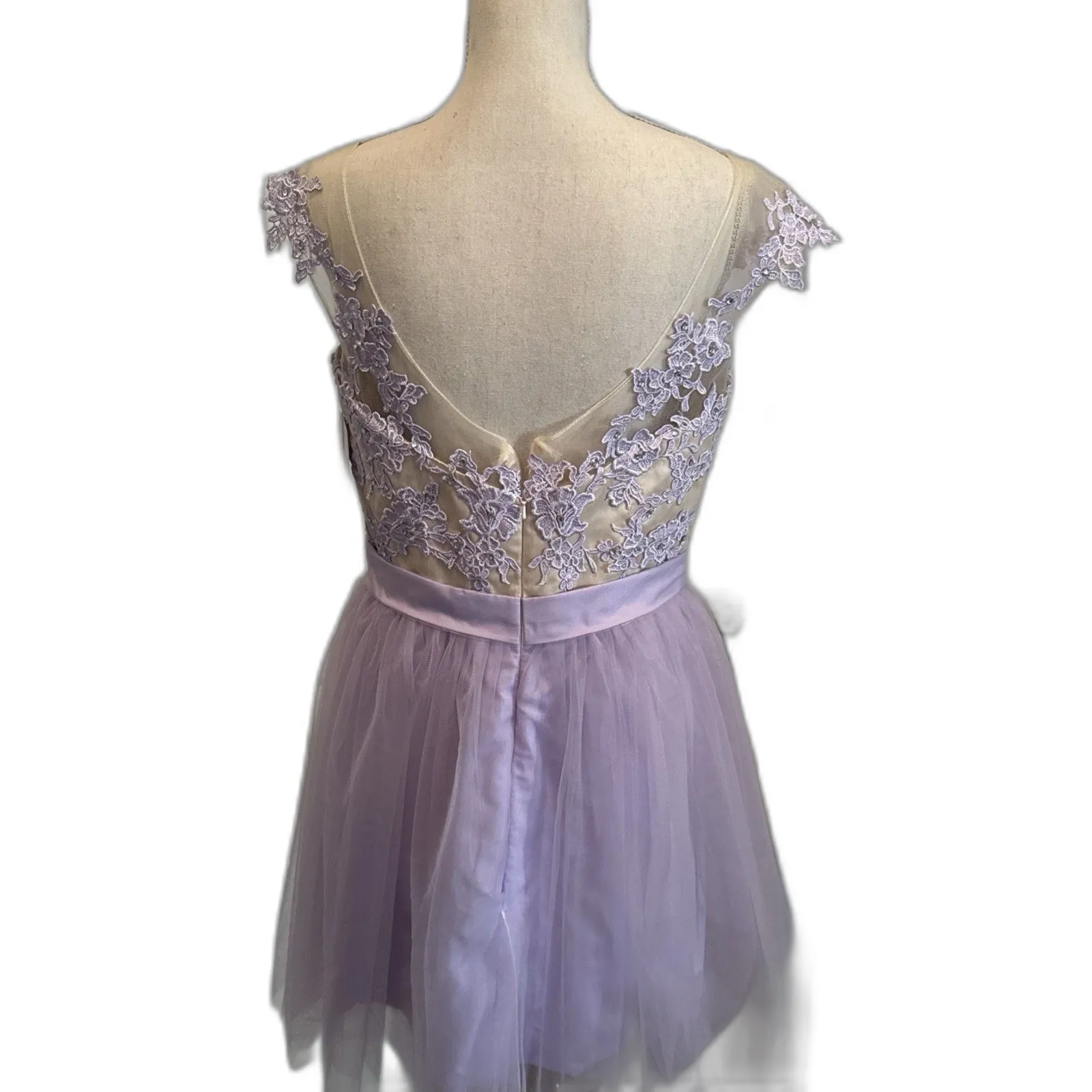 Lavender Dress With Mesh Top Lace Work And Zipper Back Purple Size 8 - Image 4