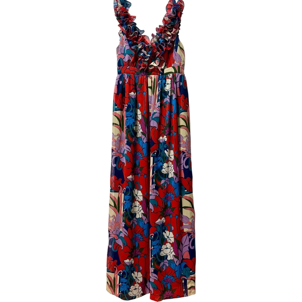 NWT TUCKERNUCK Climbing Cosmos Priscilla Floral Maxi Dress Rare Sample Piece - S - Image 2