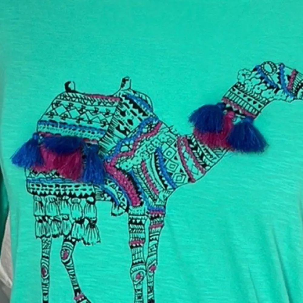 Crown and Ivy PP Camel Shirt Tassels Green Top 3/4 Sleeve New Size Small - Image 2