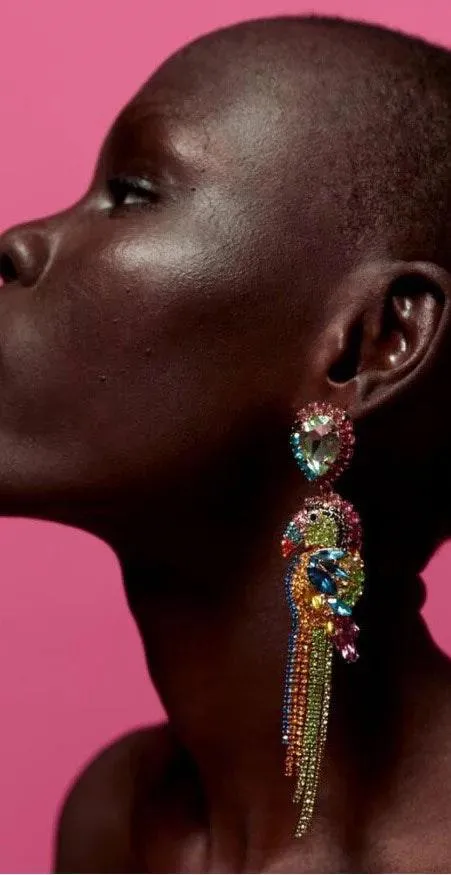 Dangling Multicolored Earrings  - Image 2