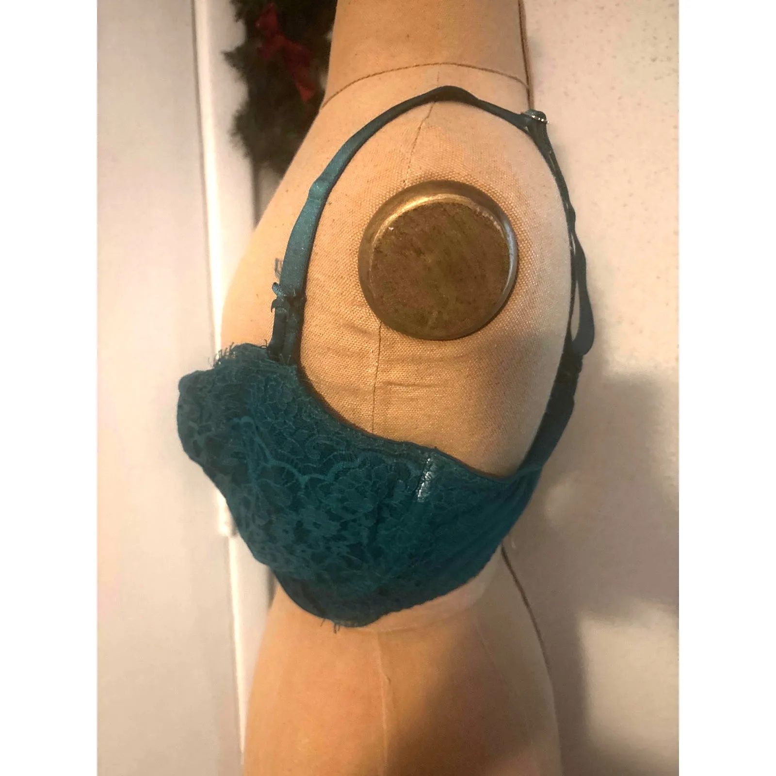 Victoria Secret Green Dream Angel Lace Trim Pushup Bra 36DDD Feminine Coquette - Image 3