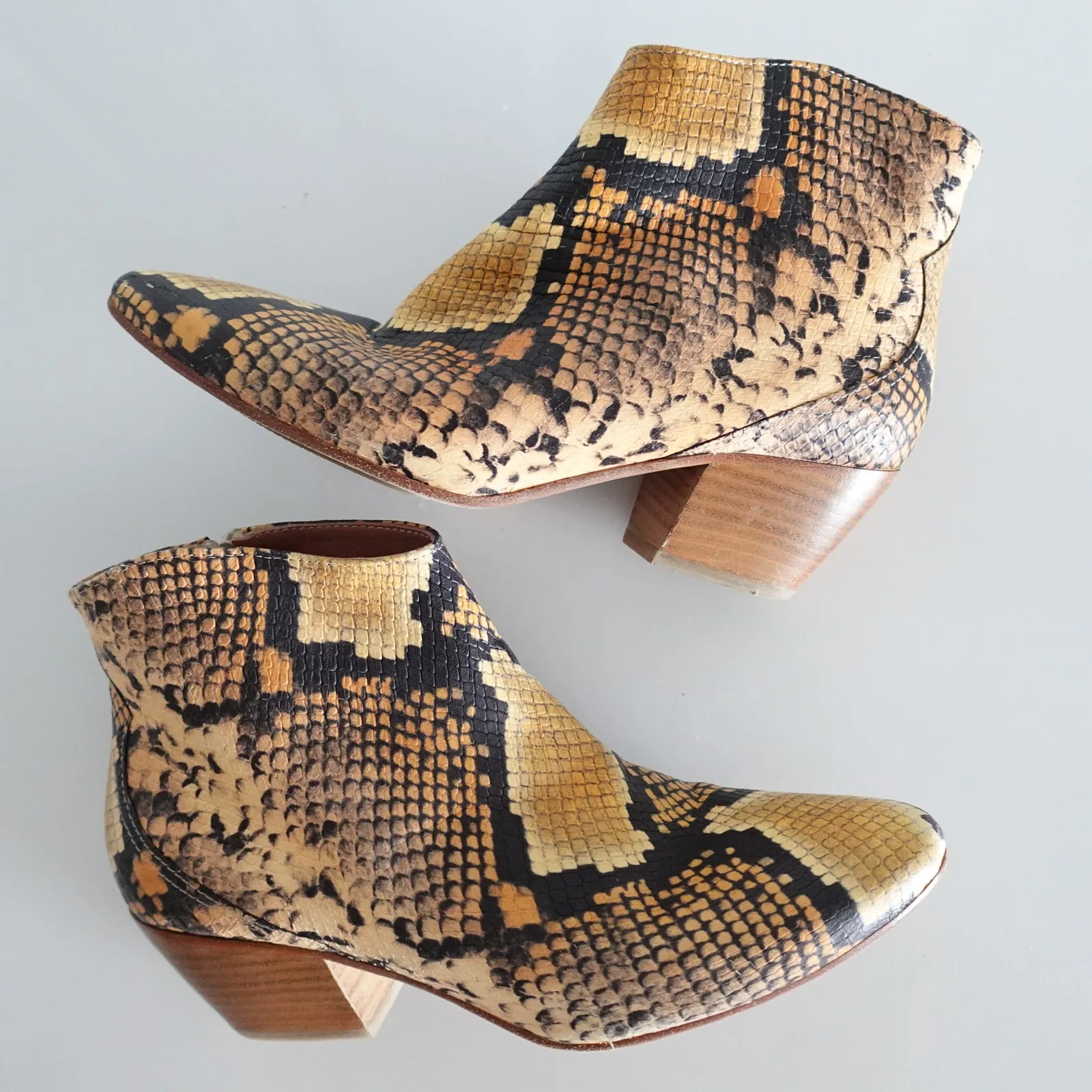 Homers Snake - Image 2