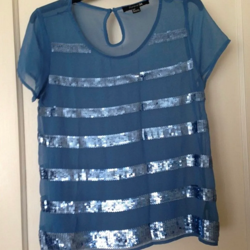 Stripped Blue Sequin Chiffon Short Sleeve Top - Image 3
