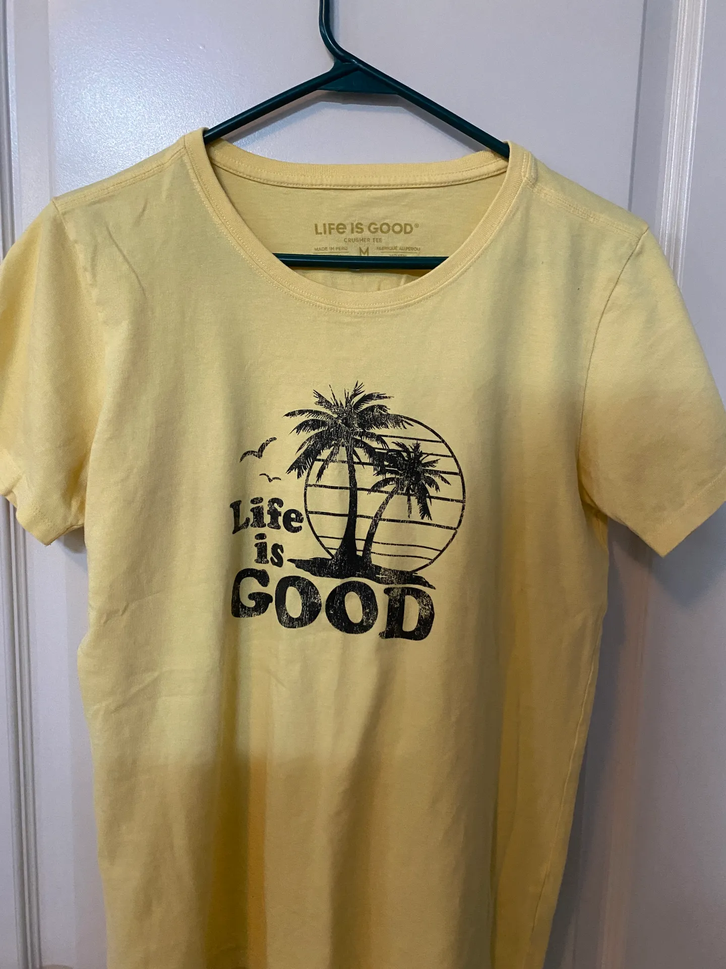 Tee Shirt (Comfort Colors) - Image 2