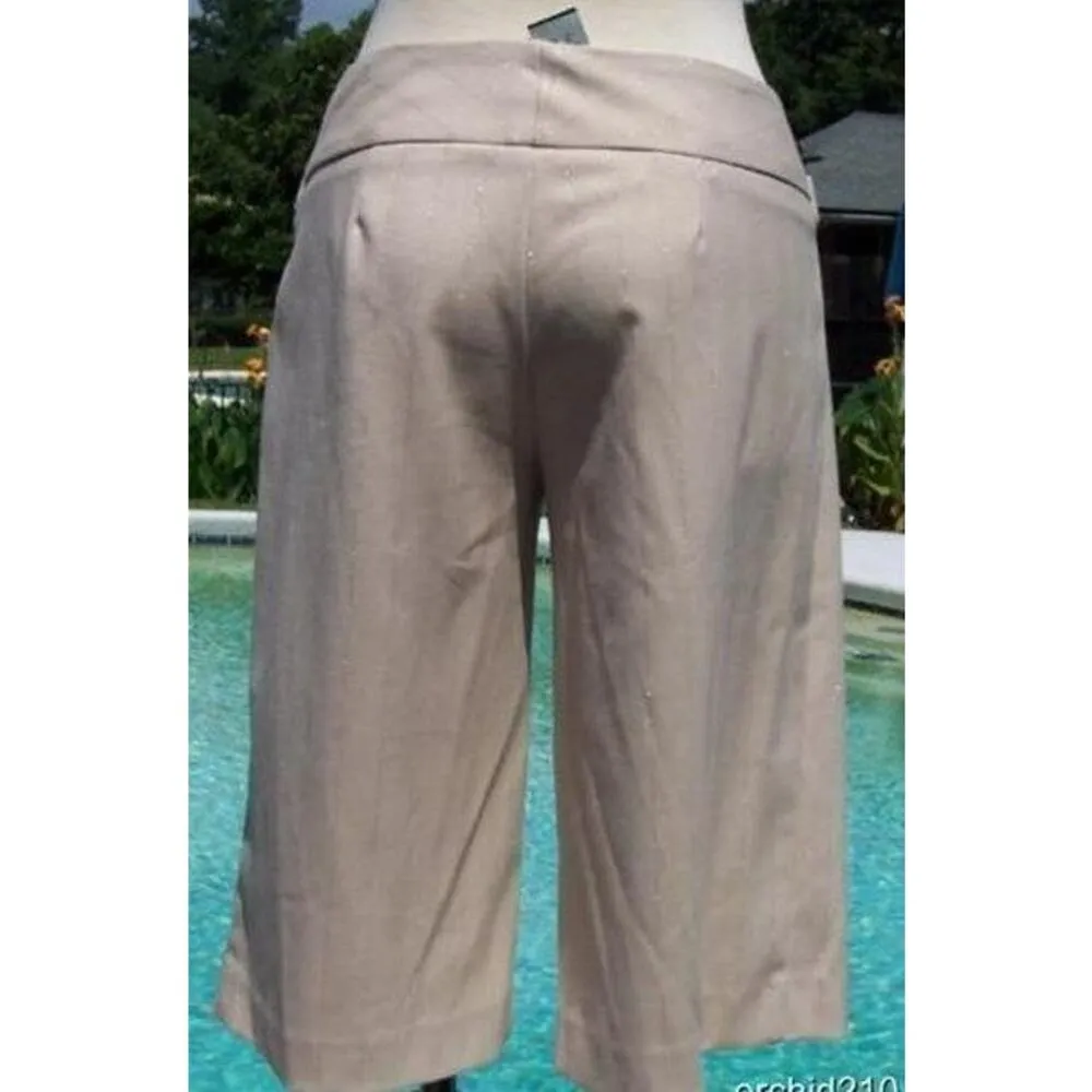 Cache Beige Self Belt Metallic Kissed Stripe Walking Bermuda Short New NWT $98 - Image 5