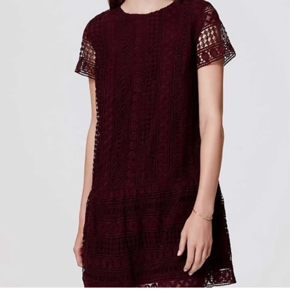 LOFT Deep Purple Drop Waist Lace Mini Dress - Image 3