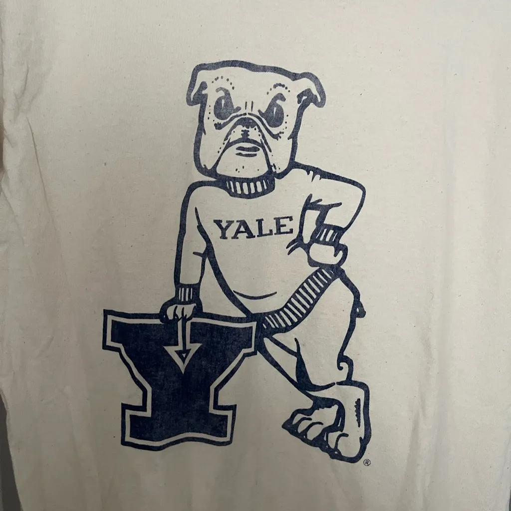 American Eagle Outfitters Cream Tee with Blue Graphic - Image 3