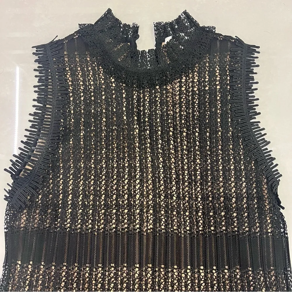 Alexis - Becca Sleeveless Plisse Lace Minidress, Black - Image 6