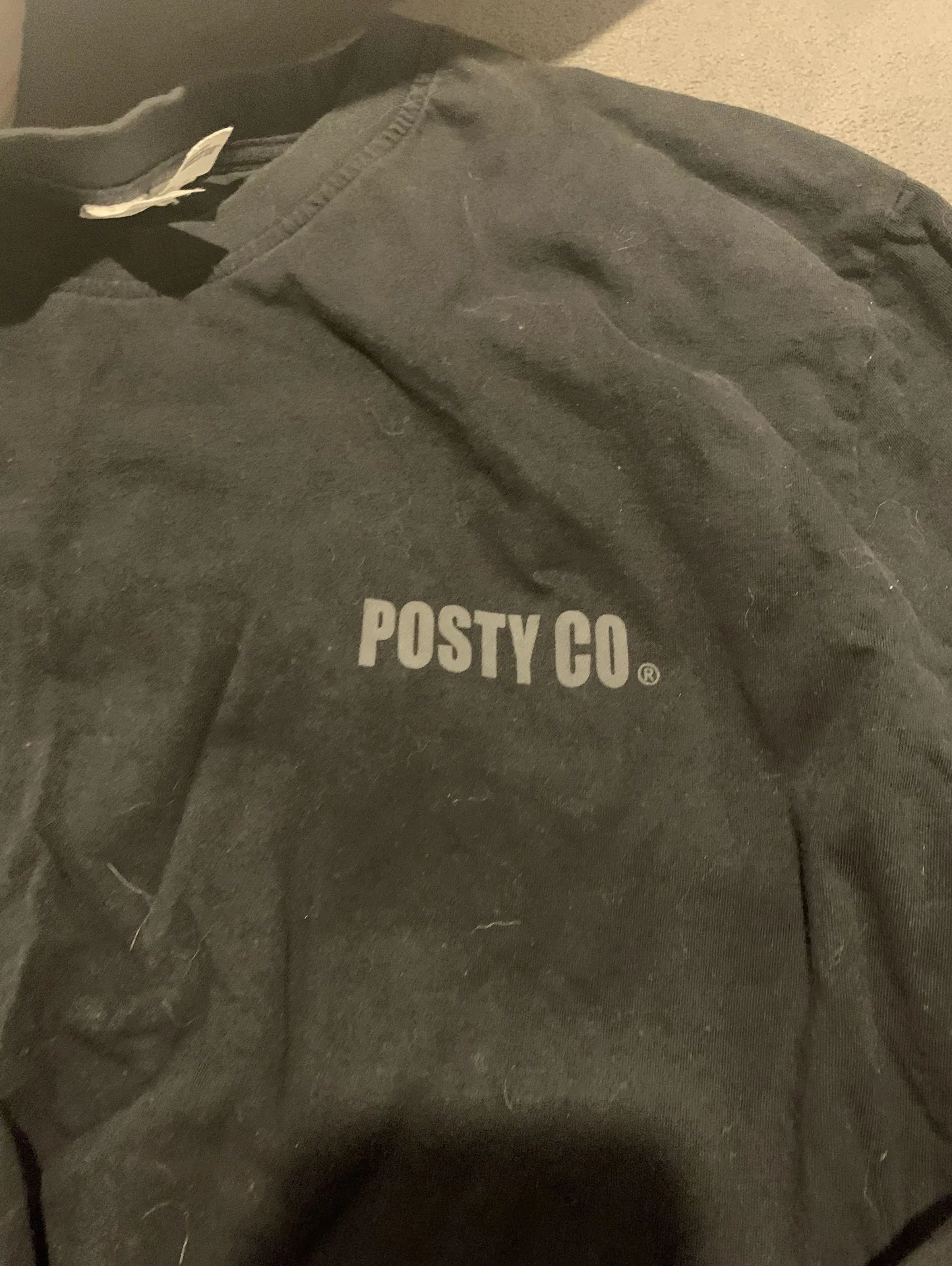 PacSun Posty Co longsleeve - Image 3
