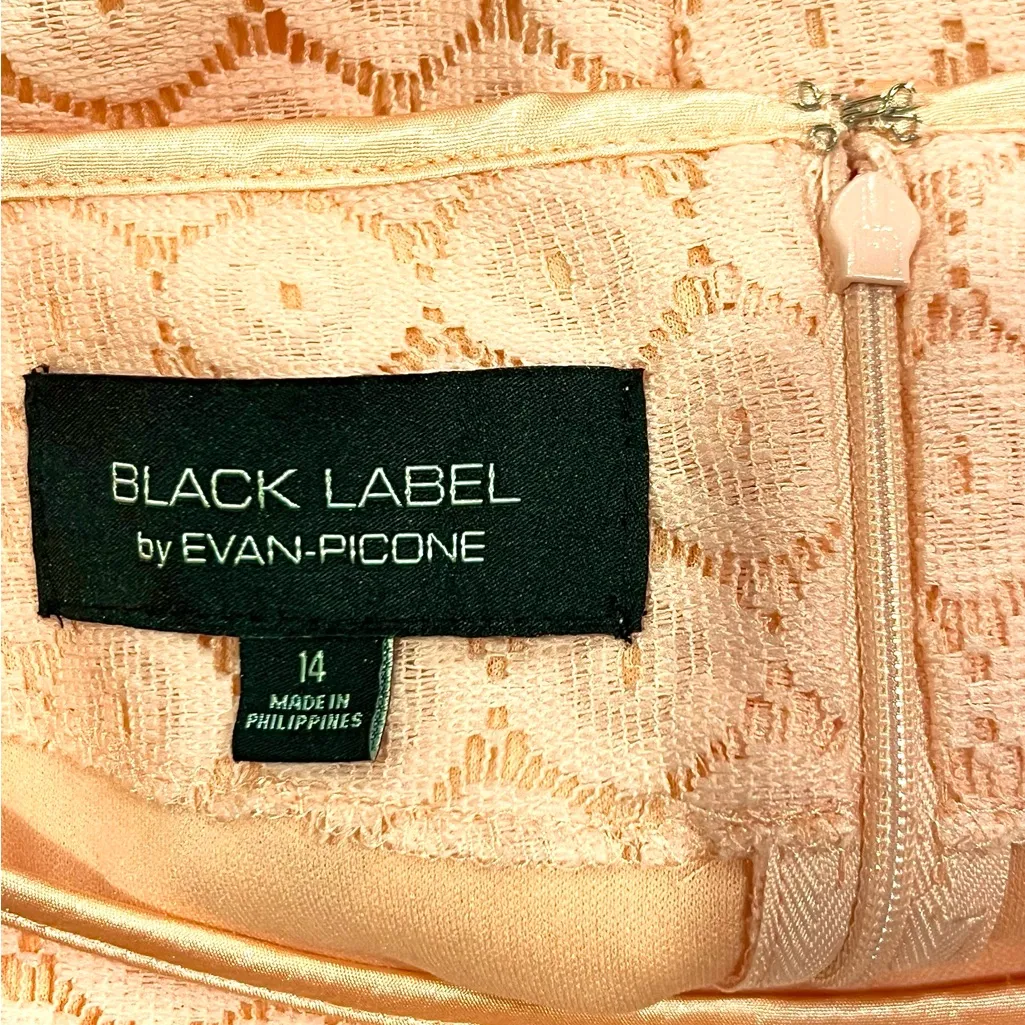 Black Label By Evan-Picone Women Short Sleeve Pink/Peach Lace A-Line Dress Sz 14 - Image 3