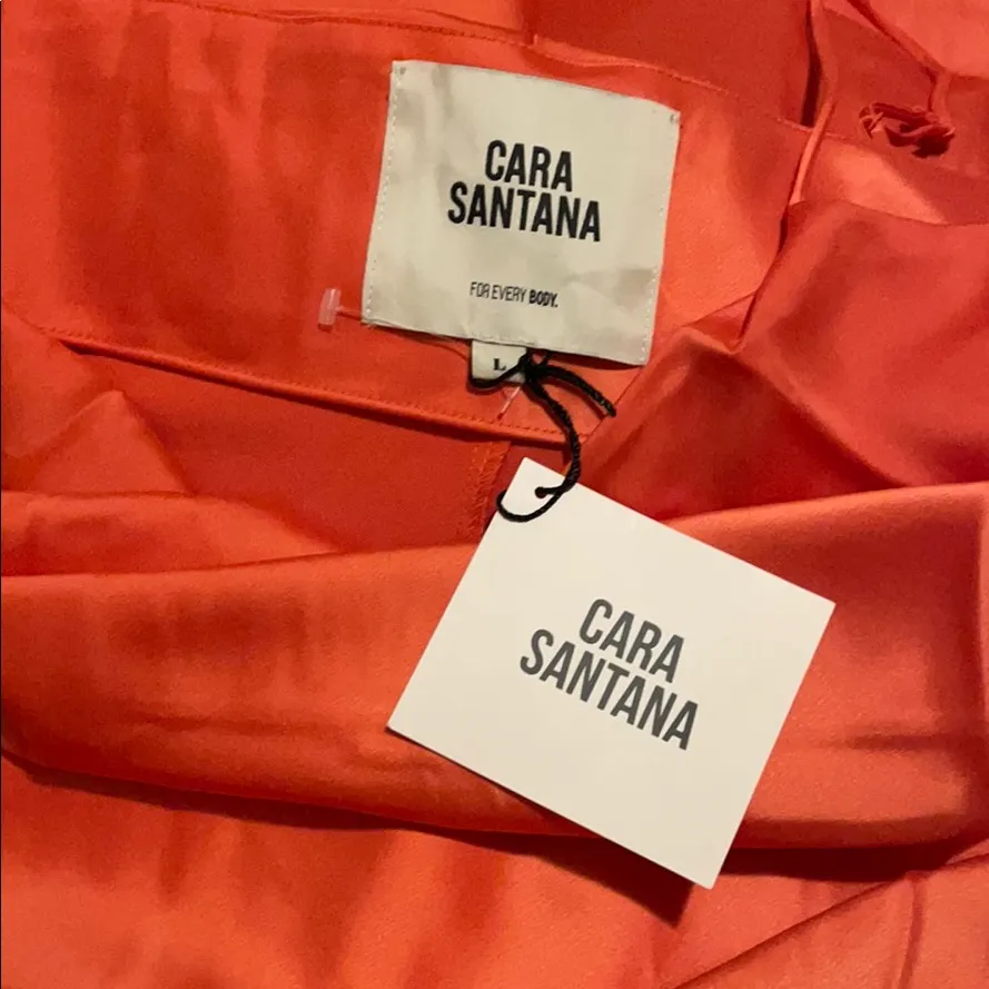 NWT Cara Santana CAN YOU LIGHTEN UP Orange Satin Dress Size XXL - Image 5
