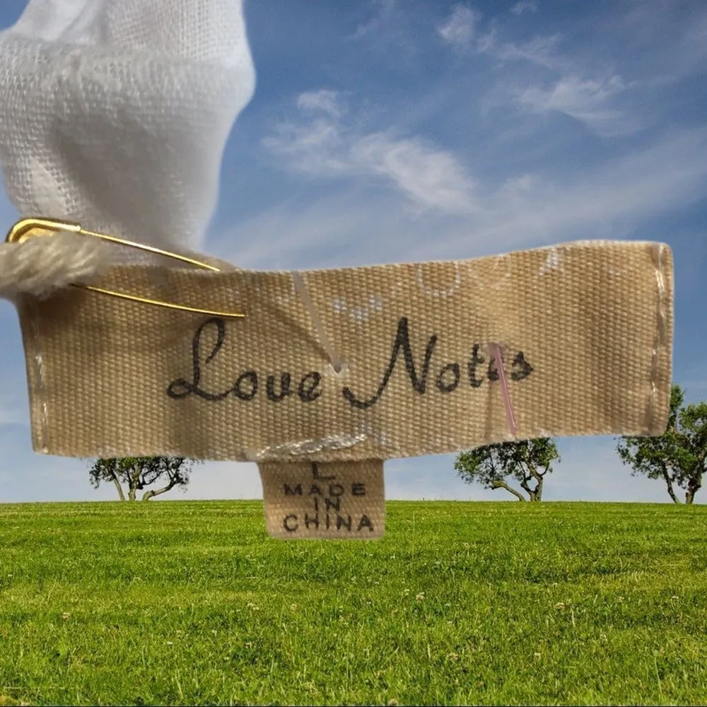 Love notes brand semi sheer white eyelet lace top - Image 5