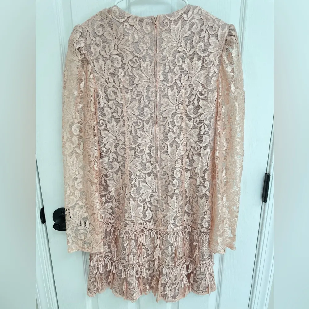 Le Art Vintage Pink Champagne Lace Layered Long Sleeve Dress Women’s Size 10 - Image 3