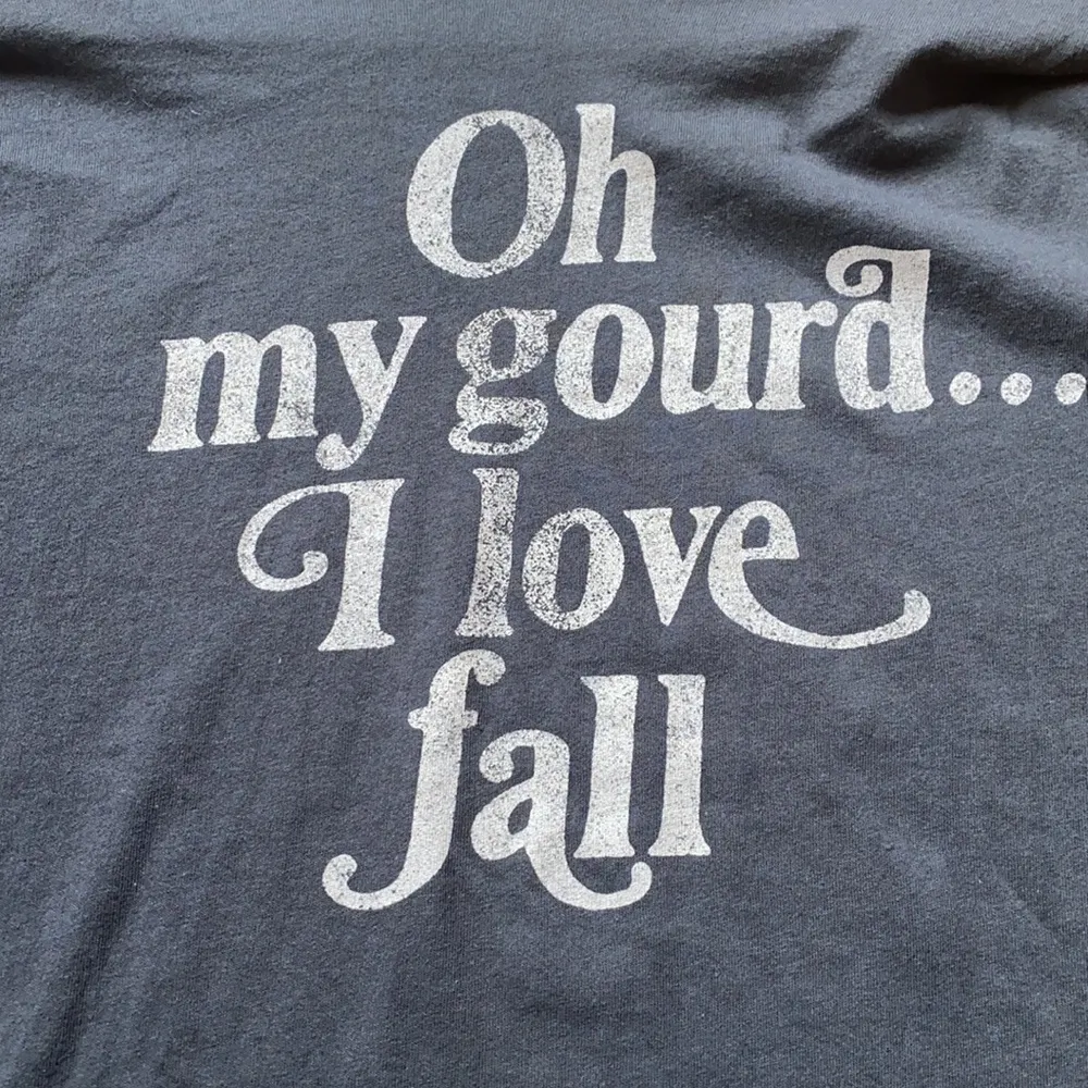 Fifth Sun “Oh my gourd… I love fall” Gray T-shirt Size XL - Image 3