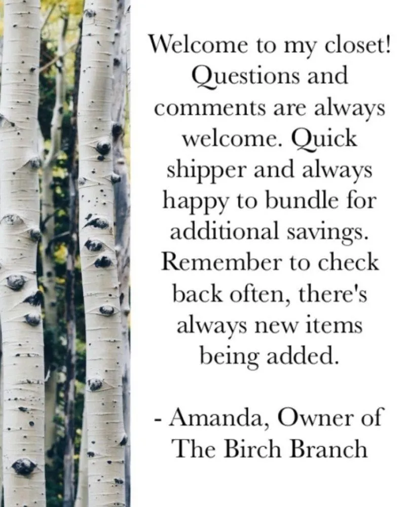 Women’s New Aerie American Eagle blue plaid shirt - Image 8