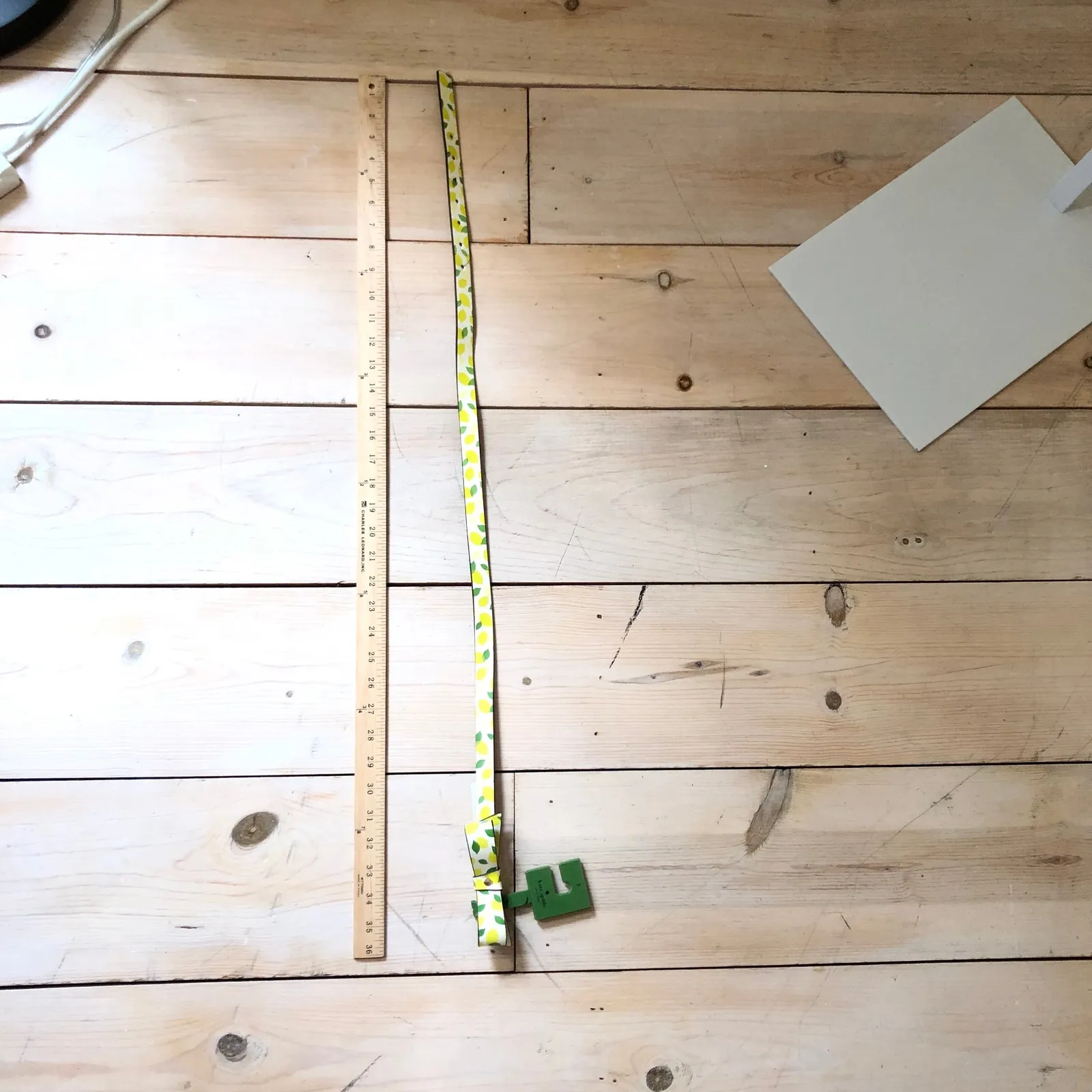 Kate Spade New York NWT Leather Lemon Belt Size S - Image 4