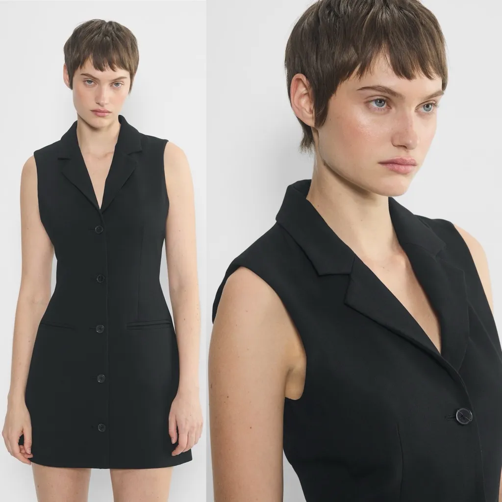 Babaton Aritzia Mastermind Black Sleeveless Blazer Dress - Image 4