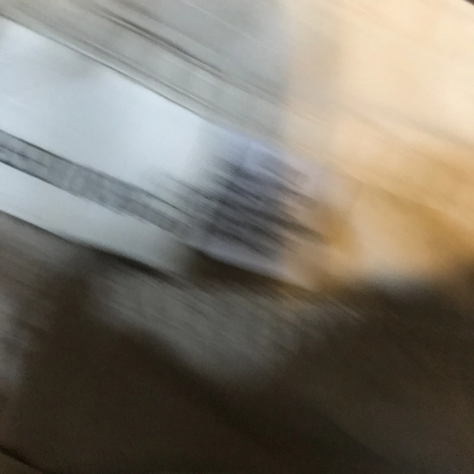 Fashion Bug  Shorts 12 New - Image 6