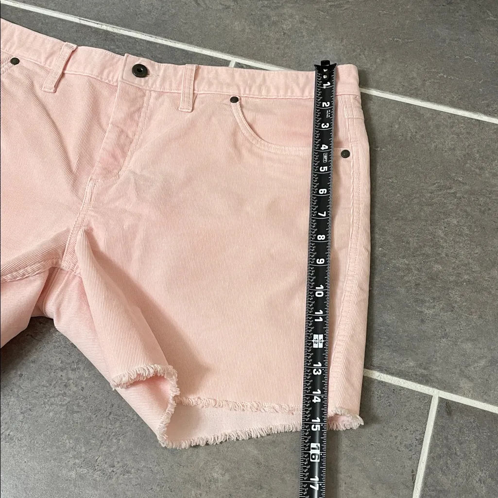 Carve Designs Oahu 6” Corduroy Shorts size 14 - Image 5