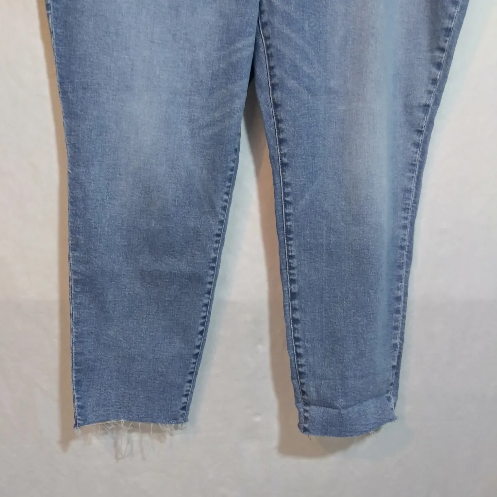 Madewell Curvy 10" High-Rise Roadtripper Authentic Skinny Jeans Size 24W - Image 4