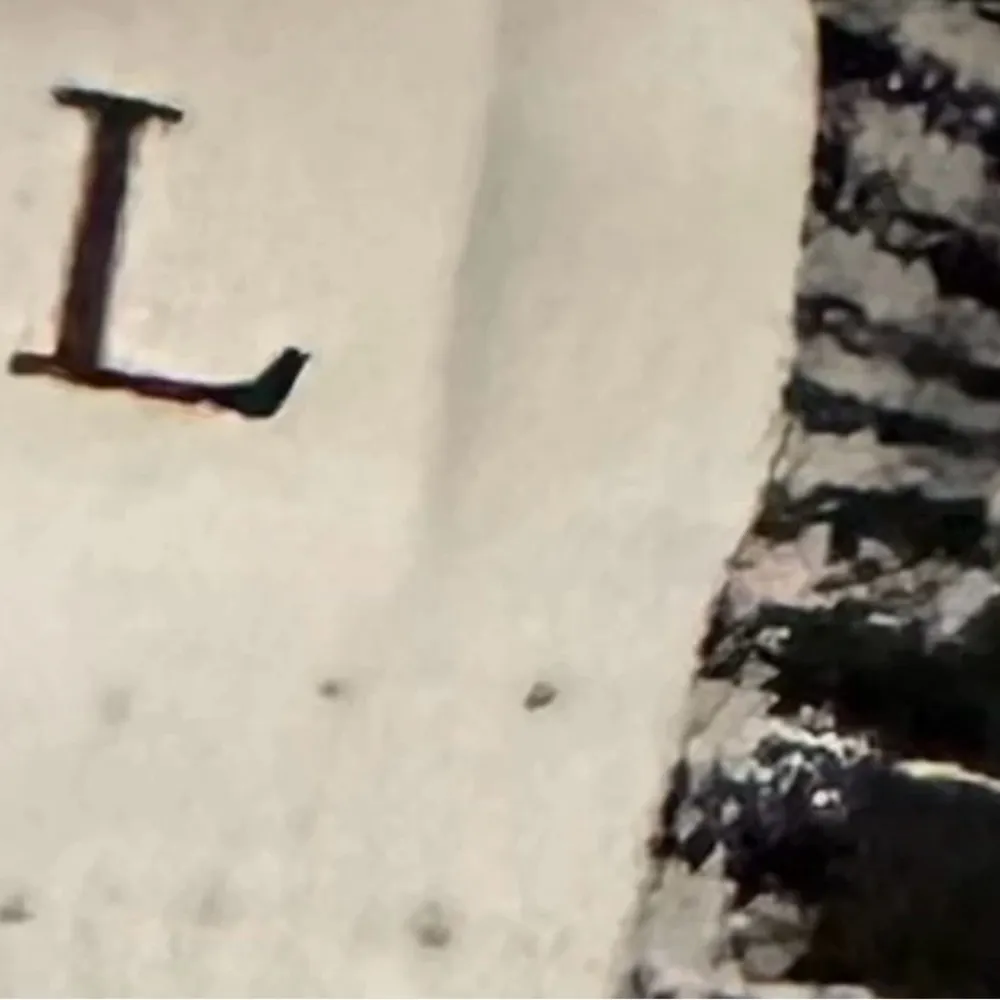 Shein Pleated Flair Checkered Shorts with Tie NWOT Large - Image 4