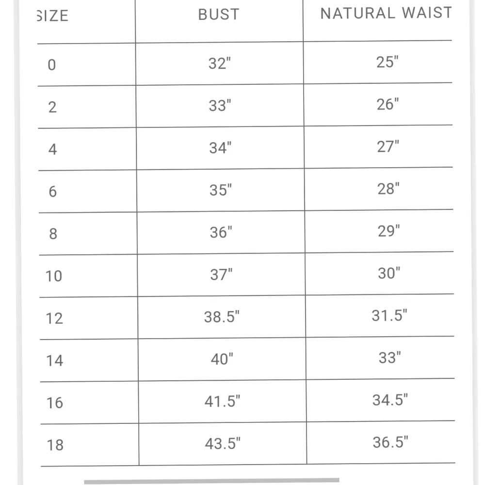 Bhldn by Jenny Yoo Hampton Skirt - Image 3