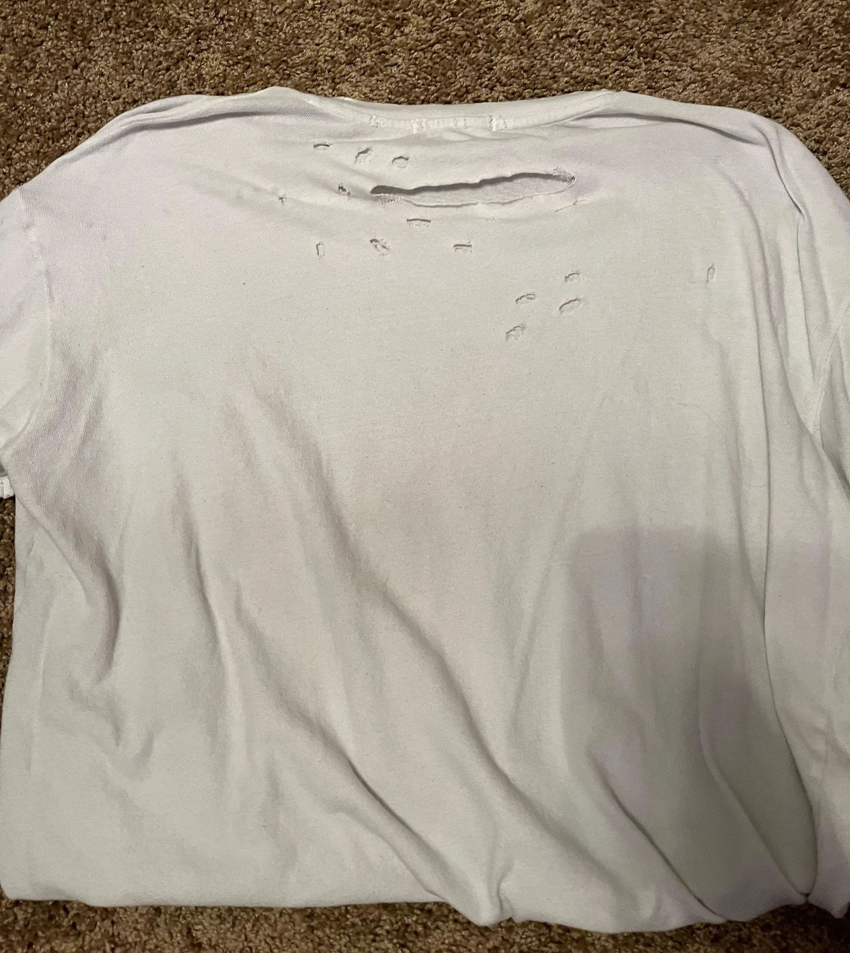 Free People tee - Image 3