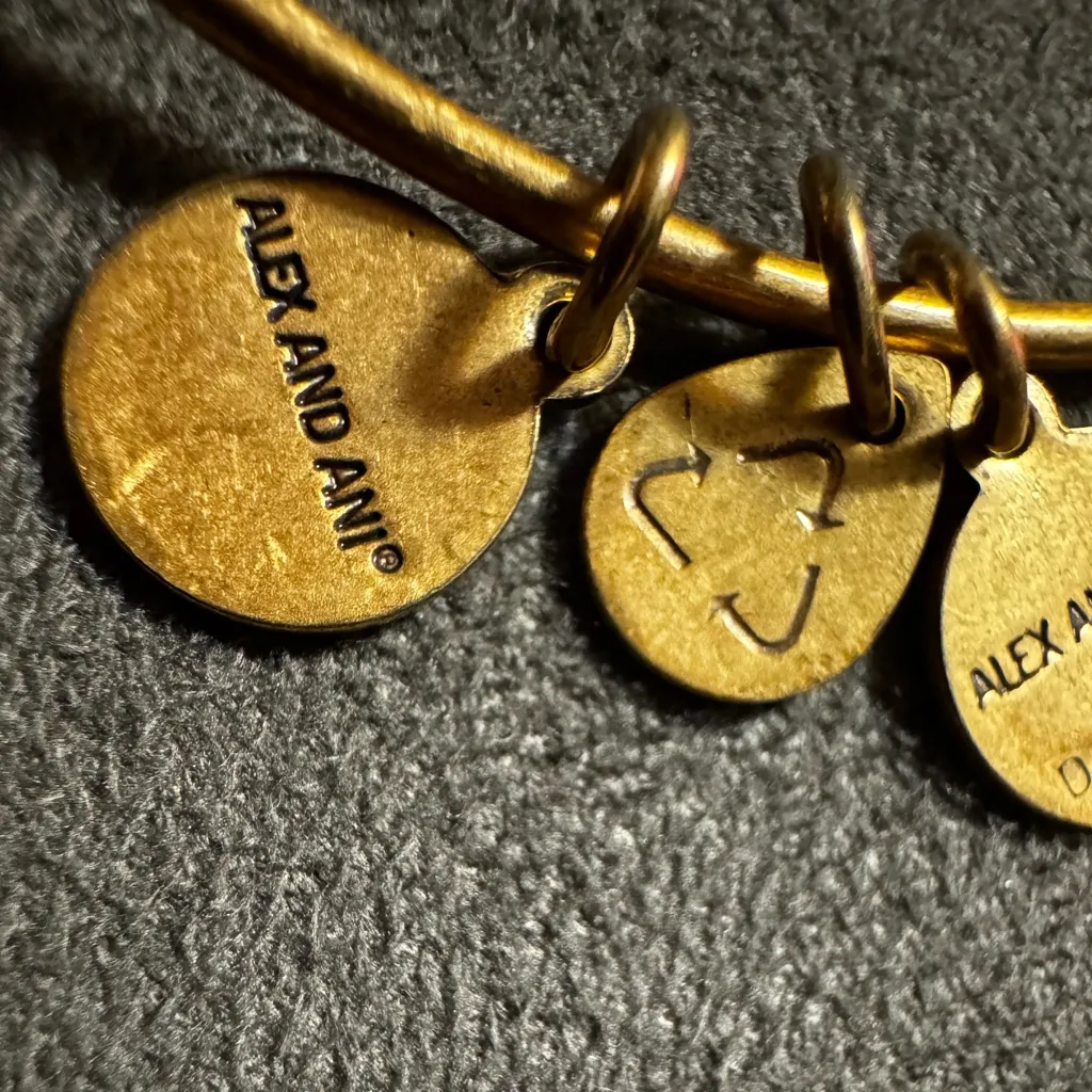 Alex and Ani Gold Super Bowl 50 Charm Bangle - Image 5