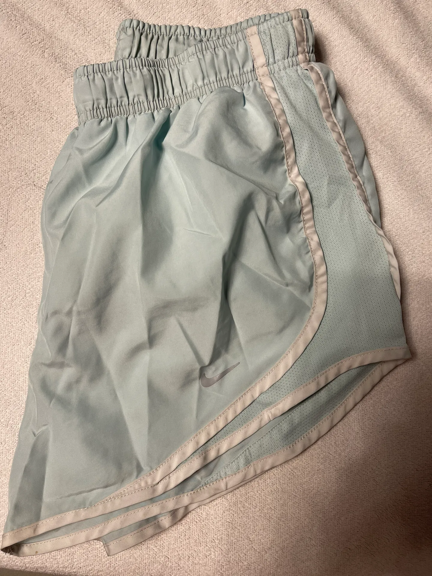 Dri-Fit Shorts - Image 3