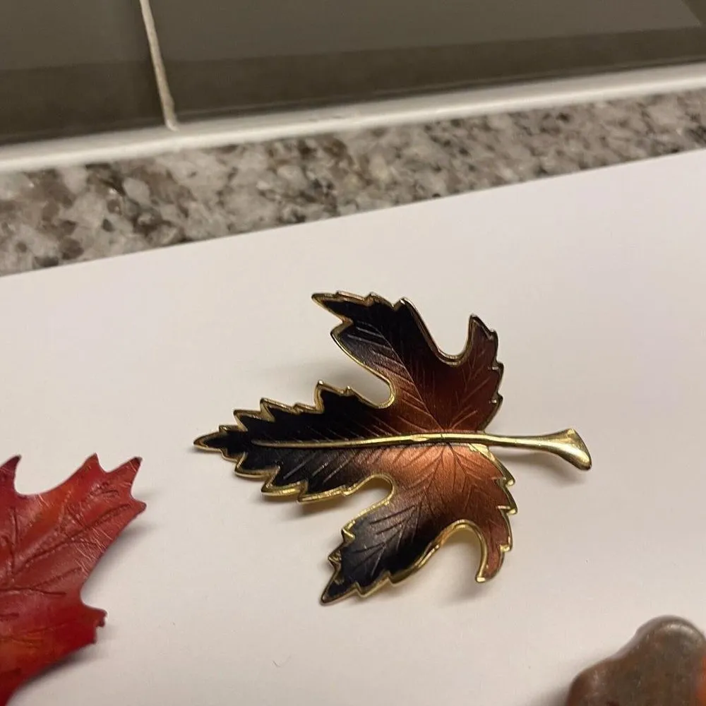 Lot Of 4 Brooch Pins Handmade Fall / Thanksgiving Autumn Leaves / Turkey - Image 10